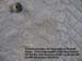 MicroFeathers_20070314_03